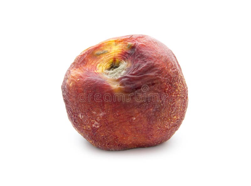 Nectarine stock image. Image of mildew, wrinkled, uncooked 33791169