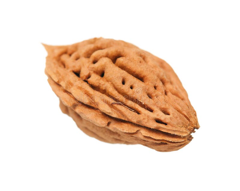 Nectarine stone stock photo. Image of peach, agriculture 32700906