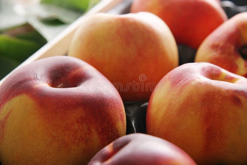 3,581 Green Nectarines Stock Photos Free & RoyaltyFree Stock Photos