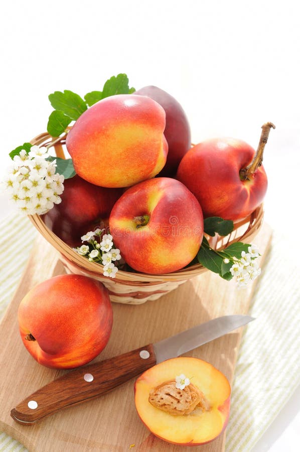 Nectarines stock photo. Image of nature, food, orange 19667736
