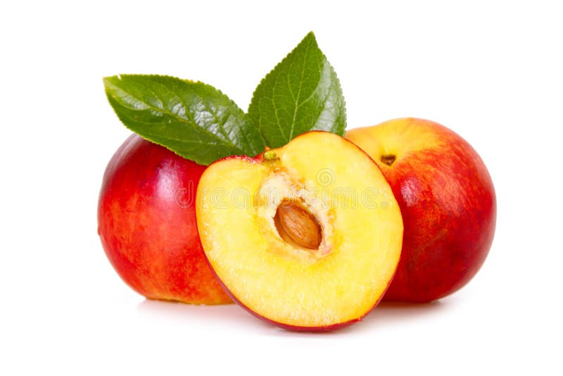 Nectarines stock image. Image of background, garden, foliage 25155077