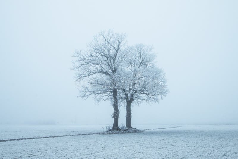Nederland, landschappen en molens in wintertijd stock fotografie Nederland, landschappen en molens in wintertijd stock fotografie