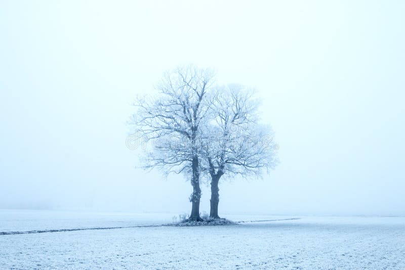 Nederland, landschappen en molens in wintertijd stock foto Nederland, landschappen en molens in wintertijd stock foto