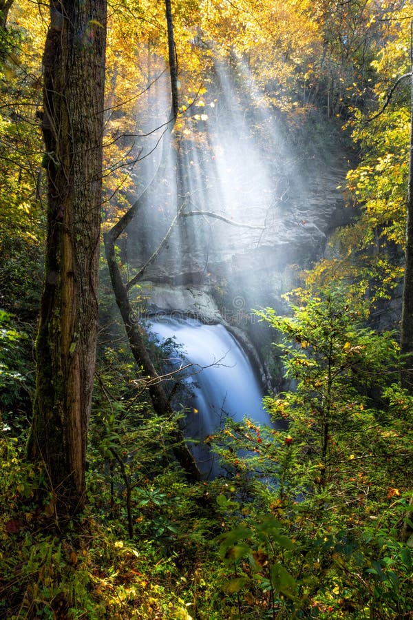 Nedgångar för seende exponeringsglas i höst i North Carolina arkivbilder Nedgångar för seende exponeringsglas i höst i North Carolina arkivbilder