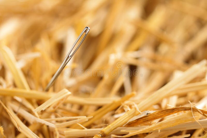 Needle in a haystack