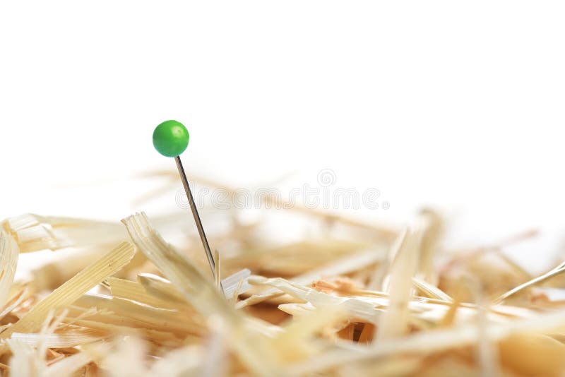 Needle in a Haystack by Ernesto Mallo Needle in a Haystack by Ernesto Mallo