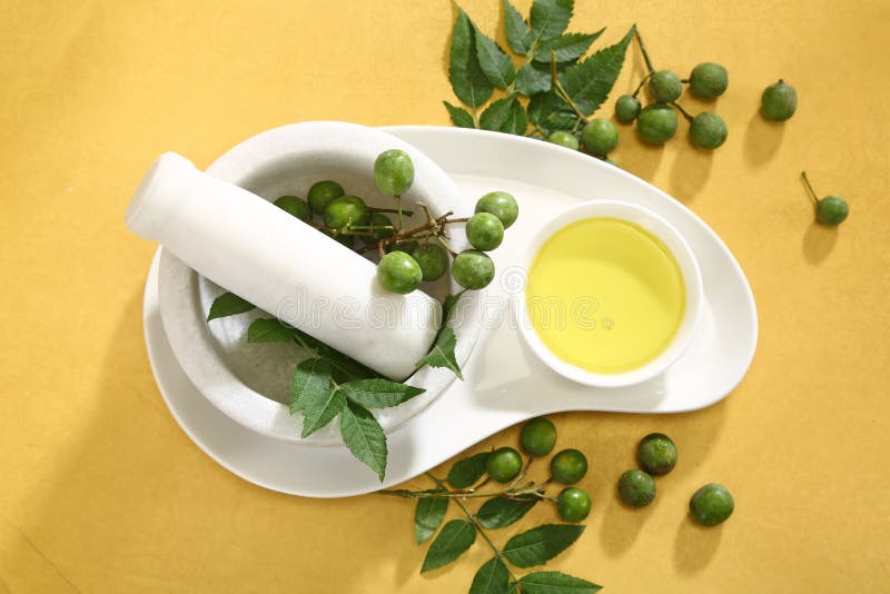Neem Ayurvedic Oil stock photo. Image of bottle, medicine 99112936