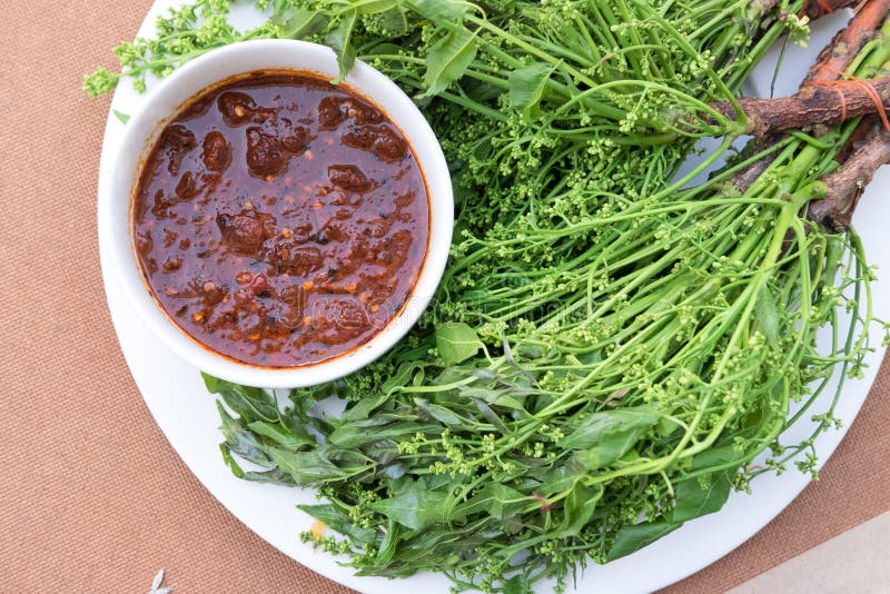 Neem Leaf Food Plate Taste Bitter Sauce Stock Photo Image of margosic