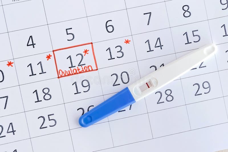 Negativt graviditetstest med cirklingsdatum i kalendern Planering av graviditet, försök att få barn