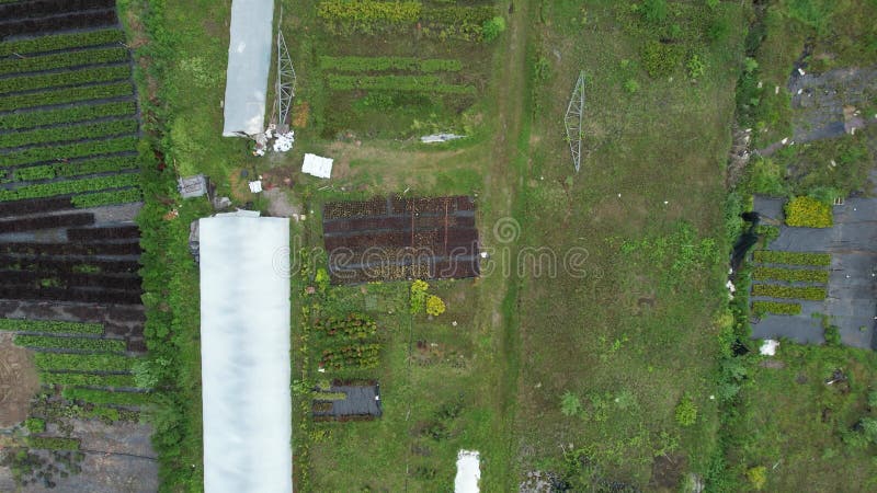 Aerial neglected greenhouse