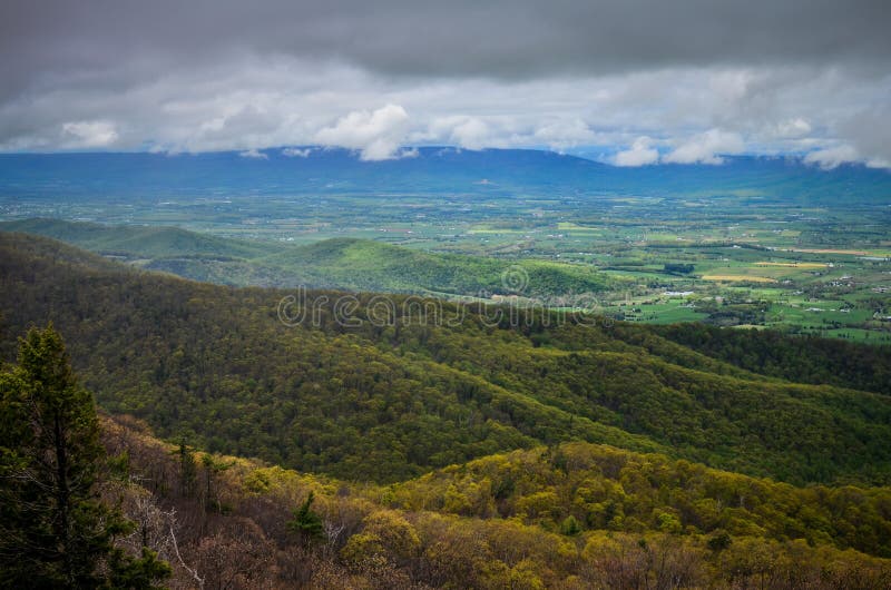 Negligencie do vale azul de Ridge Mountains abaixo, ao longo da movimentação da skyline no parque nacional de Shenandoah em Virgí imagens de stock Negligencie do vale azul de Ridge Mountains abaixo, ao longo da movimentação da skyline no parque nacional de Shenandoah em Virgí imagens de stock