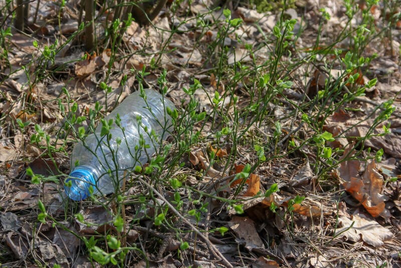 Negligentemente lanzar lejos la botella de agua plástica acurrucada en el follaje deja en desorden una trayectoria de bosque imágenes de archivo libres de regalías Negligentemente lanzar lejos la botella de agua plástica acurrucada en el follaje deja en desorden una trayectoria de bosque imágenes de archivo libres de regalías
