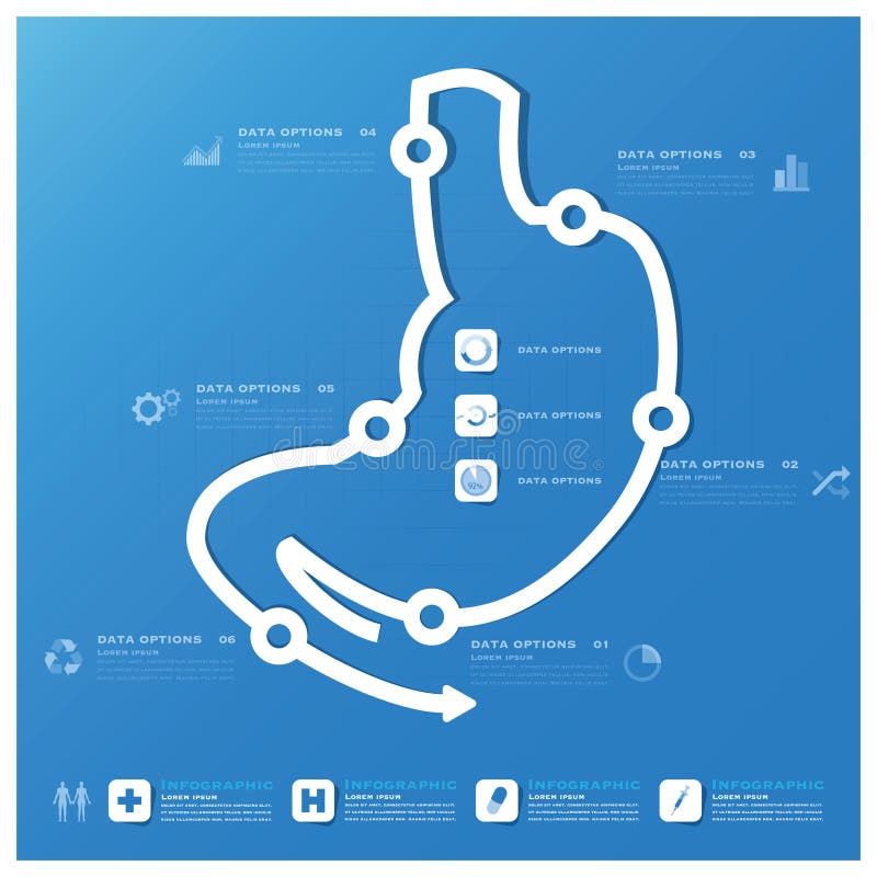 Negocio de la forma del estómago y plantilla médica del diseño de Infographic ilustración del vector Negocio de la forma del estómago y plantilla médica del diseño de Infographic ilustración del vector