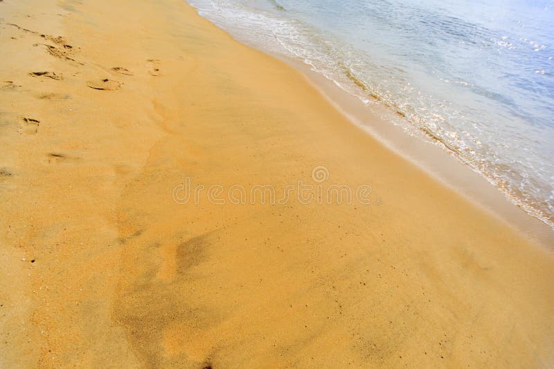 Negombo beach, Sri Lanka royalty free stock photo