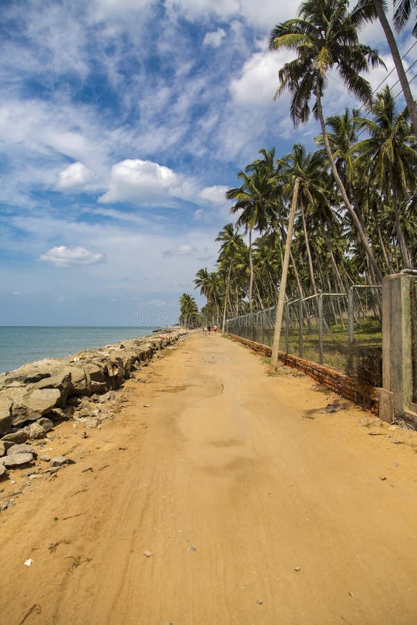 Negombo beach at Sri Lanka stock image. Image of ceylon - 59043963
