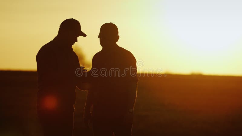 Negócio no negócio agrário O fazendeiro de dois homens comunica-se no campo, usa uma tabuleta - agite as mãos Silhuetas no por do