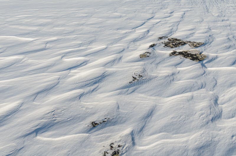 Neigez comme des vagues congelées des vents d'hiver photo libre de droits Neigez comme des vagues congelées des vents d'hiver photo libre de droits