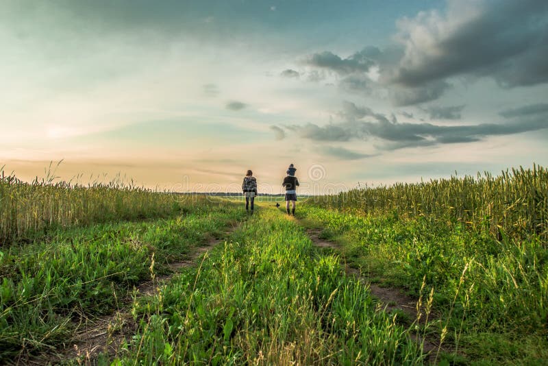 Nel campo al tramonto immagine stock Nel campo al tramonto immagine stock
