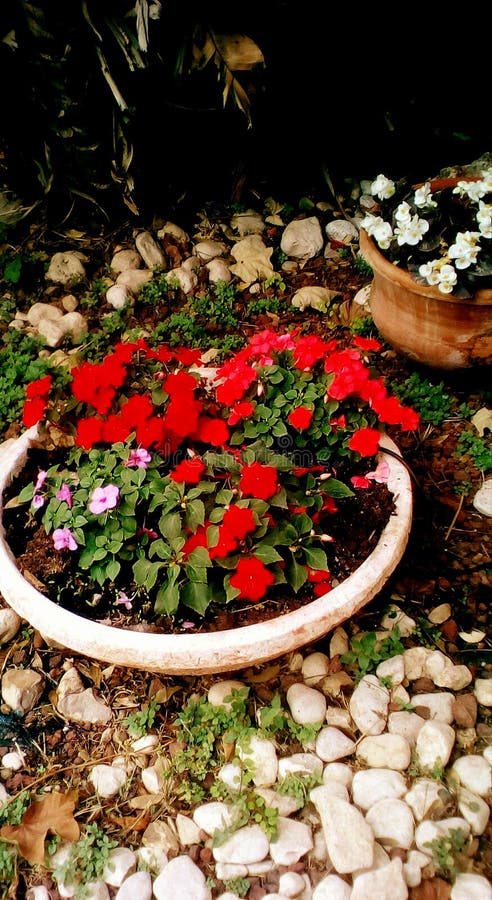 Nel giardino della casa immagine stock libera da diritti