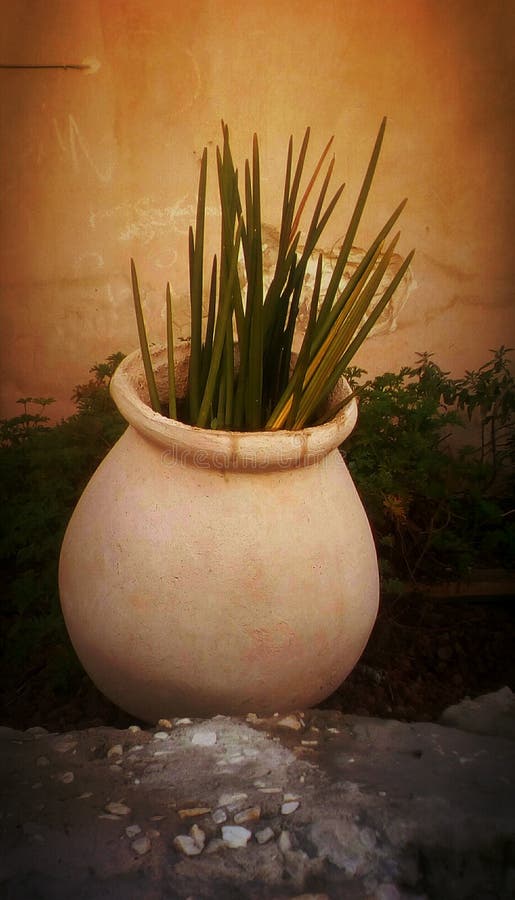 Nel giardino della casa illustrazione di stock