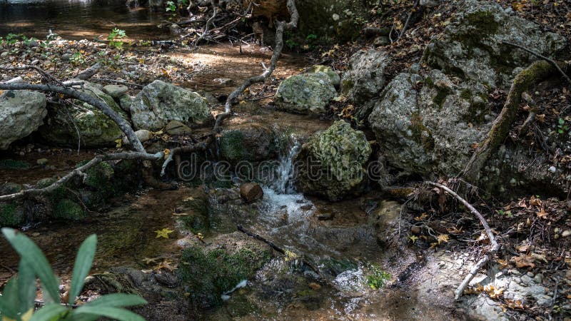 Nella foresta una cascata di filamenti di miniera è ben annidata tra gli alberi e il fogliame adiacente a un fiume. questo. questa scena pittoresca è arricchita dalla presenza dell'area ripariale e del corso d'acqua che scorre. foto di alta qualità.