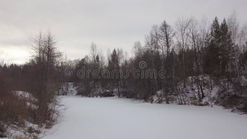 Nelle foreste del giorno d'inverno il drone vola a bassa temperatura su un fiume di neve ghiacciato