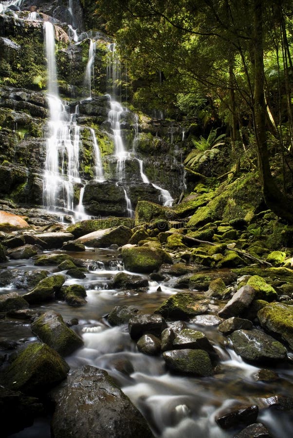 Nelson Falls, Tasmania royalty free stock photography