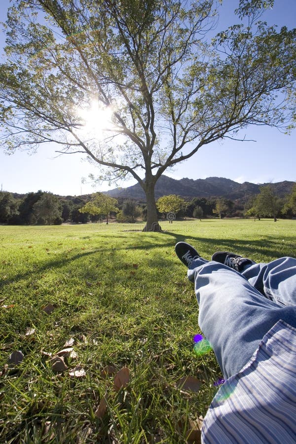 Man relaxing under a tree. Man relaxing under a tree