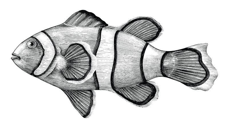 Nemo łowi rysunkowego rocznika styl atramentem odizolowywającym na białym backgro ilustracja wektor