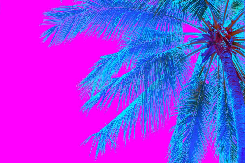 Bright blue holographic neon colored palm tree in abstract style on pink background. Night club beach party flyer template. Retro style creative summer design concept. Open composition. Copy space. Bright blue holographic neon colored palm tree in abstract style on pink background. Night club beach party flyer template. Retro style creative summer design concept. Open composition. Copy space.