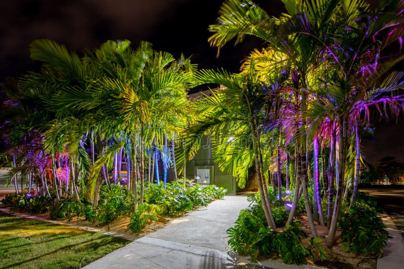 Neon colored palm trees Miami Beach park scene