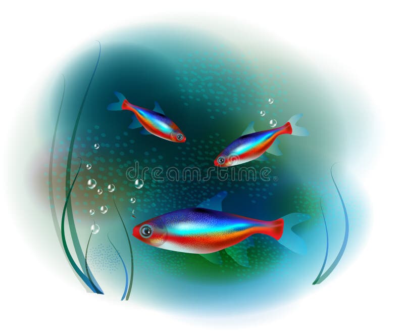 Neon fish stock vector. Illustration of cute, sealife - 28823647