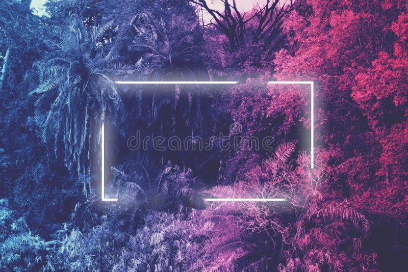 Neon light frame glowing behind palm trees. Duotone stock image