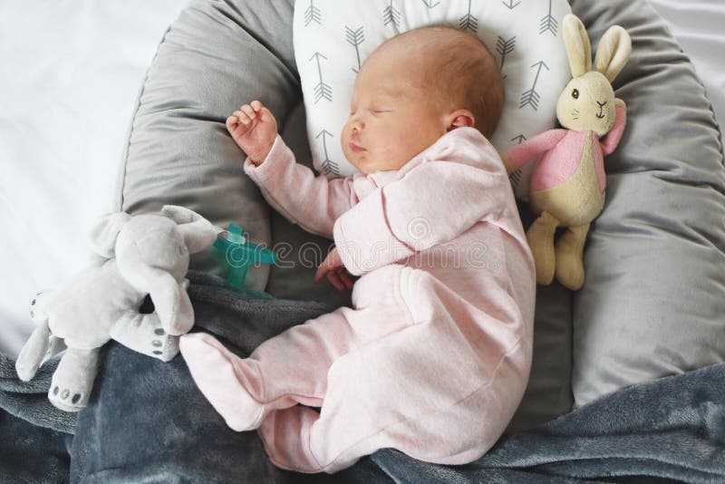 Sleeping infant. Grey and pink shades. Little baby napping in a lounger with her pacifier and plush toys. Sleeping infant. Grey and pink shades. Little baby napping in a lounger with her pacifier and plush toys