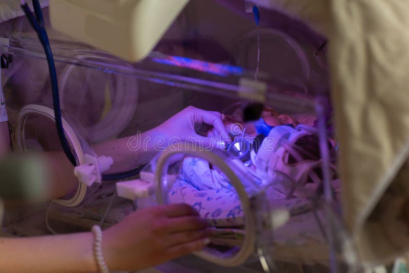 Neonato d'esame di medico femminile in incubatrice Fine sulle mani femminili con uno stetoscopio fotografie stock Neonato d'esame di medico femminile in incubatrice Fine sulle mani femminili con uno stetoscopio fotografie stock