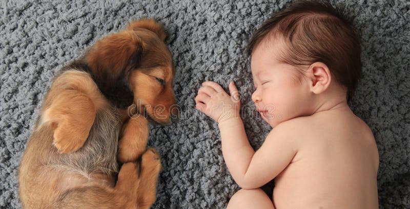 Neonato e cucciolo immagini stock libere da diritti