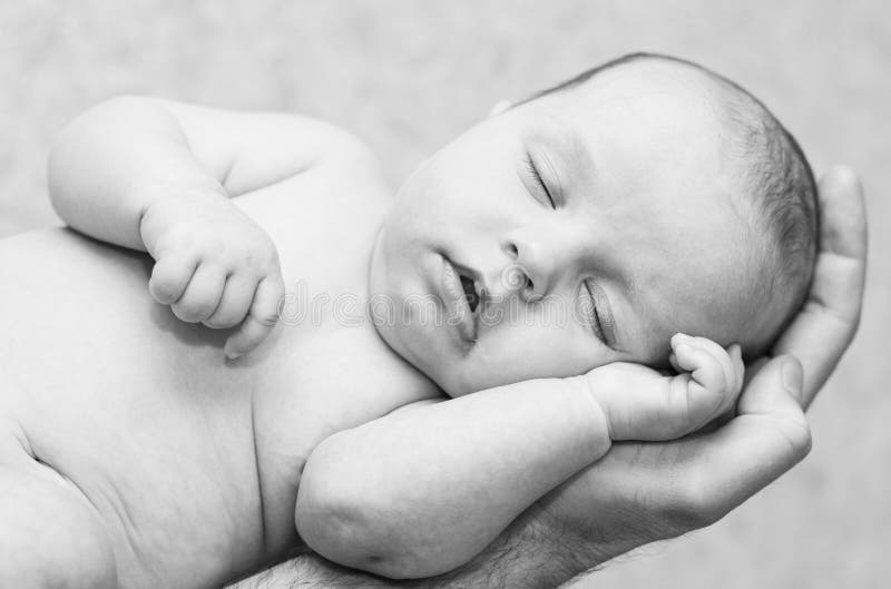 Neonato sveglio paffuto immagini stock libere da diritti Neonato sveglio paffuto immagini stock libere da diritti