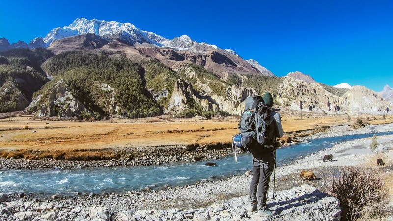 Nepal - Manag, pojke och yaksna arkivbilder Nepal - Manag, pojke och yaksna arkivbilder