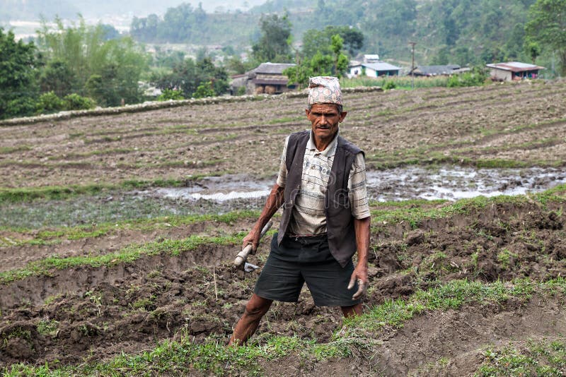 Nepalski rolnik zdjęcie stock Nepalski rolnik zdjęcie stock