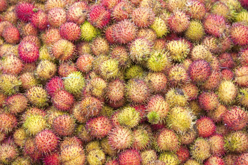 Nephelium lappaceum Rambutanfrucht lizenzfreie stockfotos Nephelium lappaceum Rambutanfrucht lizenzfreie stockfotos