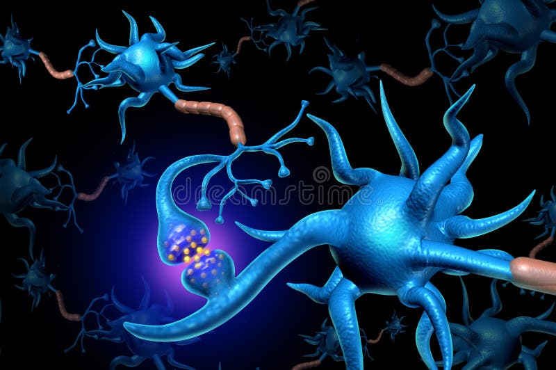 Nerve Cell Synapse royalty free illustration