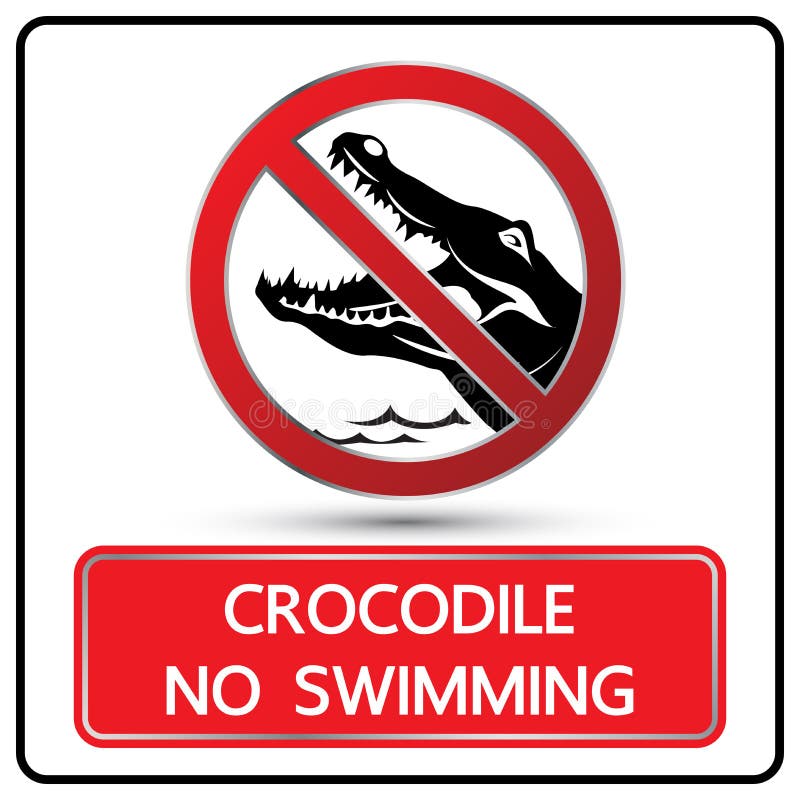 Ha Un Coccodrillo Come Simbolo Nessun Vettore Del Segno E Di Simbolo Del Coccodrillo Di Nuoto