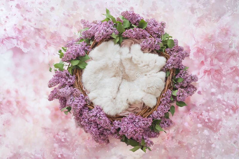 Nest of grapevine and lilac flowers for photographing newborns on a pink floral background