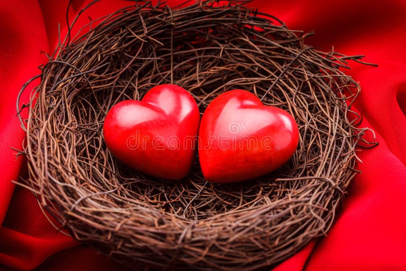 Nest with hearts stock image Nest with hearts stock image