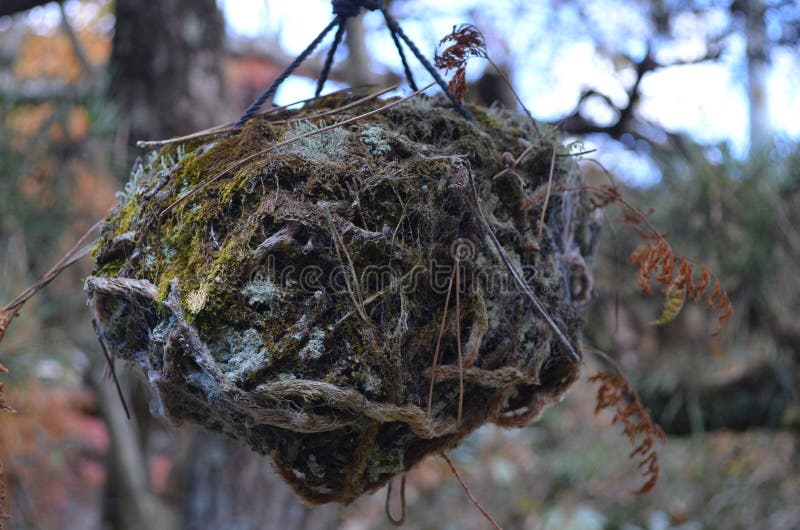 Nest in Japan stock image. Image of stair, germany, river 77183743