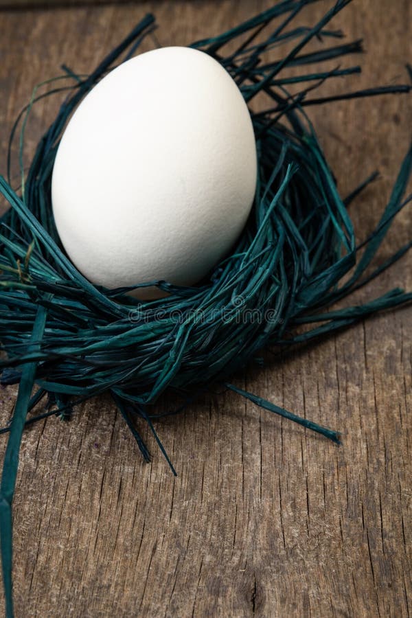 Nest mit einem Ei