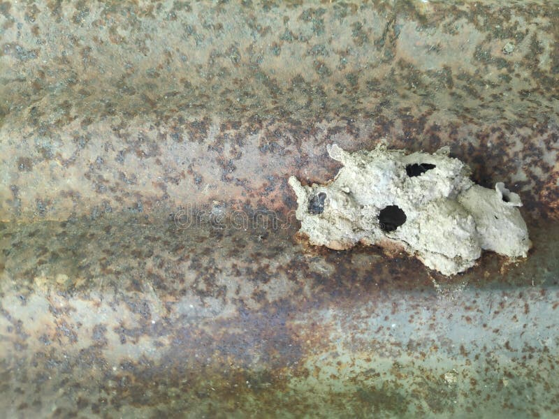 a nest of Some insects Originating at Galvanized roof royalty free stock image a nest of Some insects Originating at Galvanized roof royalty free stock image
