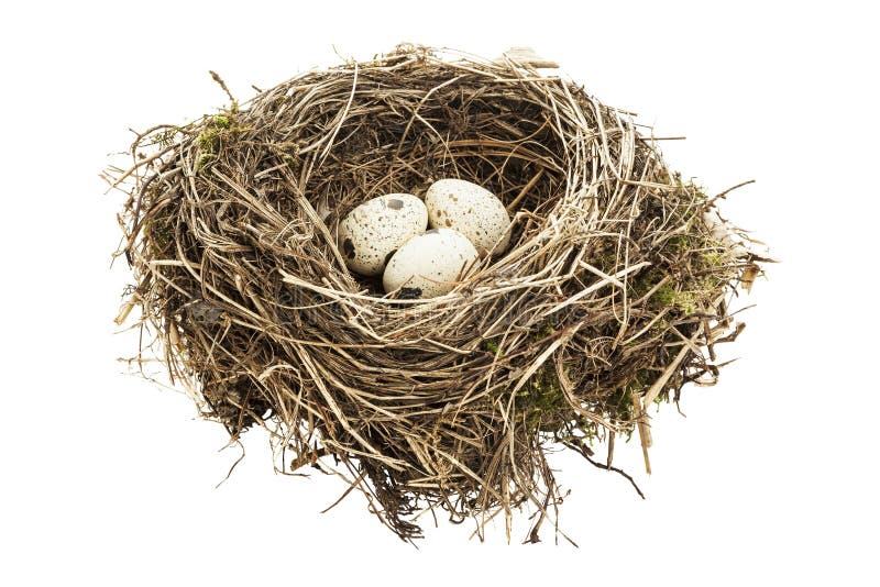 Nest with three eggs isolated on white background