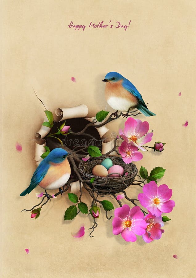 Nest with two blue birds.