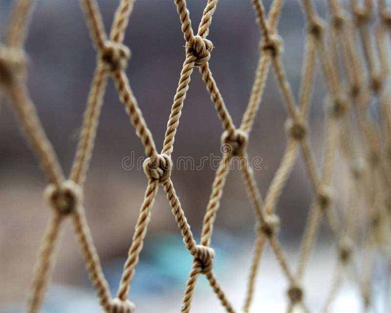 Net royalty free stock images Net royalty free stock images